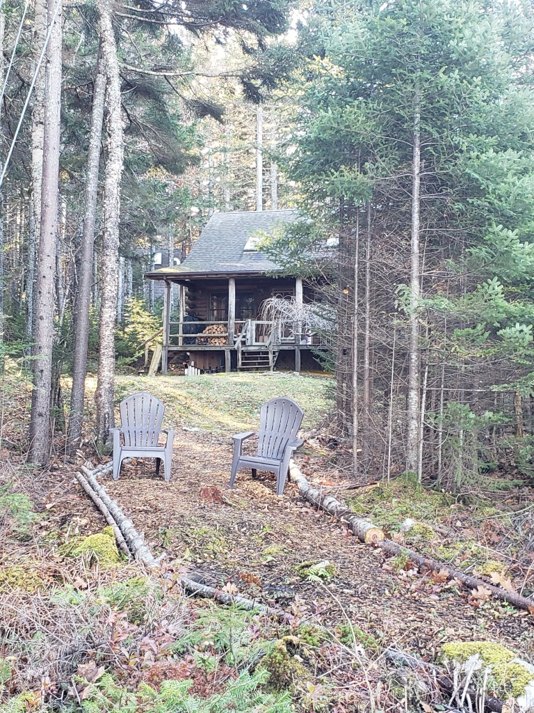 Our cabin on so-called Wild Air as viewed through the woodcut facing south with our back to the sea.