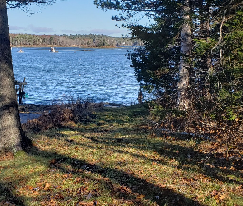 A view from our pathway which is actually a public easement, or shared access, to the sea